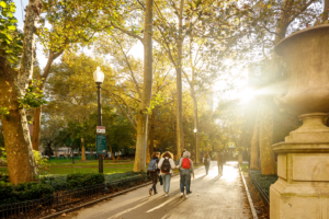 Three students walking into the sunset.