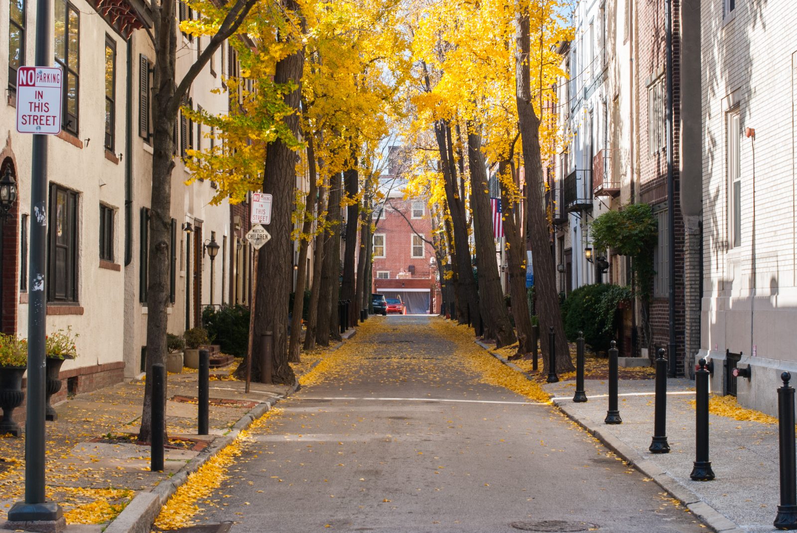 Yellow leaves covering the ground in a back alley of South Philadelphia.